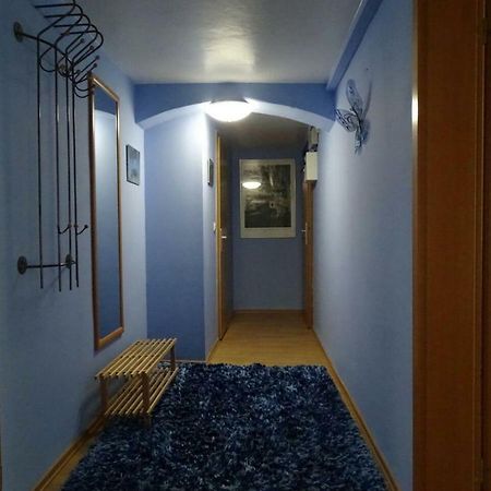 Ferienwohnung Altstadt Lobau Bagian luar foto